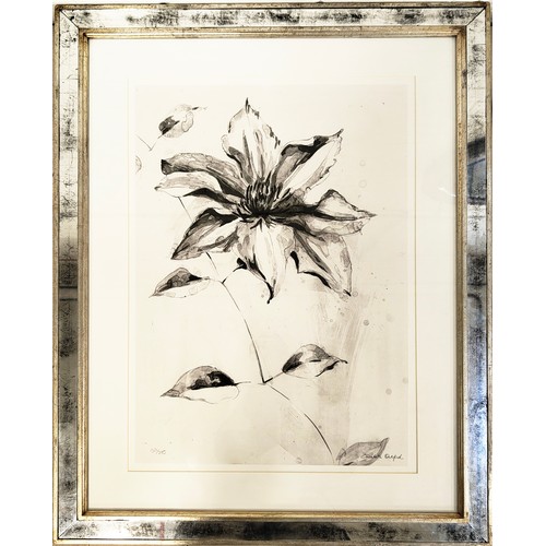 49 - TROWBRIDGE GALLERY, 'Botanical' prints, a set of six, each 84cm x 67cm overall. (6)