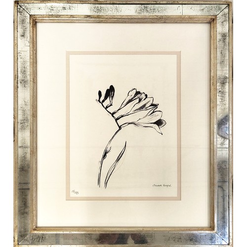 45 - TROWBRIDGE GALLERY, 'Botanical' prints, a set of four, each 64cm x 53cm overall. (4)