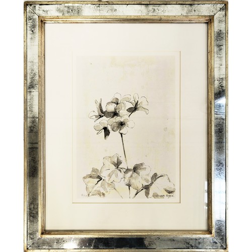 45 - TROWBRIDGE GALLERY, 'Botanical' prints, a set of four, each 64cm x 53cm overall. (4)