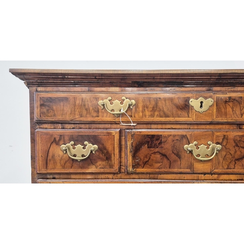 276 - CHEST ON STAND, Queen Anne walnut containing seven drawers, 163cm H x 98cm W x 53cm D.