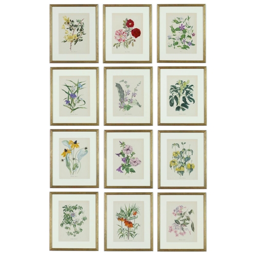 99 - JOHN NASH (Brother of Paul Nash), a set of twelve English flowers, botanical lithographs, printed by... 