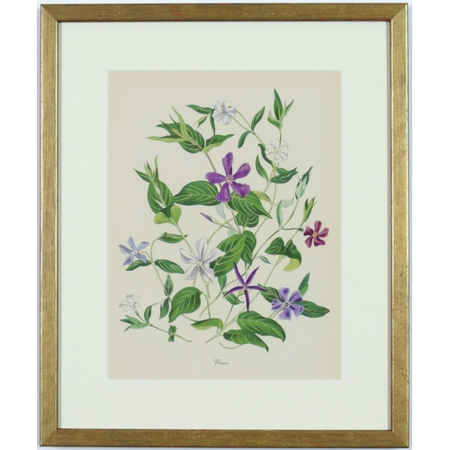 99 - JOHN NASH (Brother of Paul Nash), a set of twelve English flowers, botanical lithographs, printed by... 