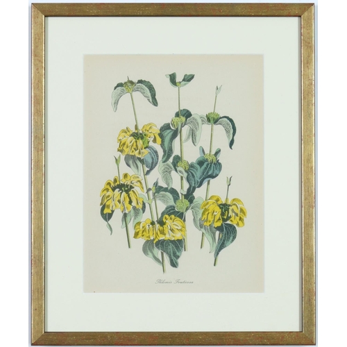 99 - JOHN NASH (Brother of Paul Nash), a set of twelve English flowers, botanical lithographs, printed by... 