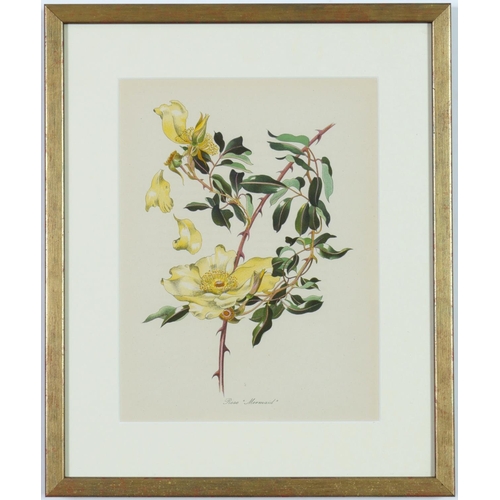 99 - JOHN NASH (Brother of Paul Nash), a set of twelve English flowers, botanical lithographs, printed by... 