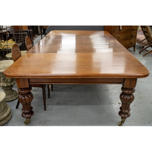 194 - DINING TABLE, Victorian mahogany with three extra leaves on six lobed baluster legs and brass castor... 