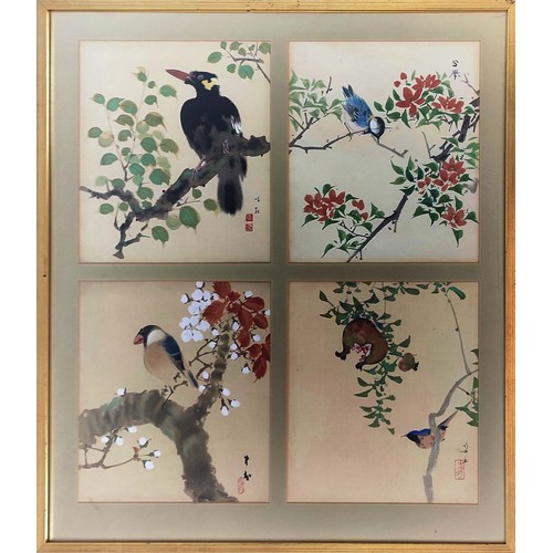 43 - CHINESE SCHOOL, 'Birds', watercolour.