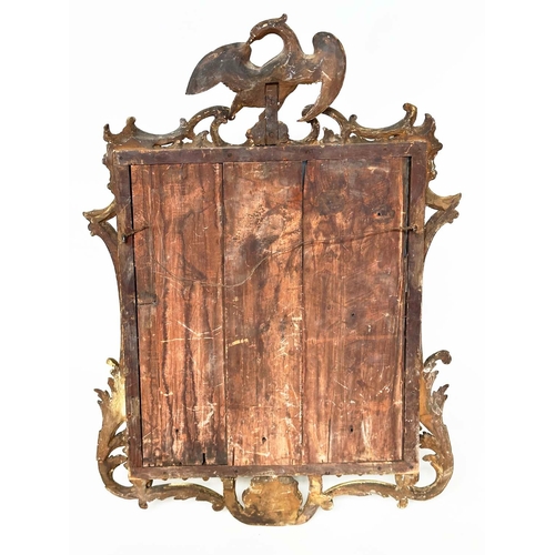 126 - WALL MIRROR, 18th century carved giltwood, rectangular with eagle crest and 'C' scroll detail, 96cm ... 