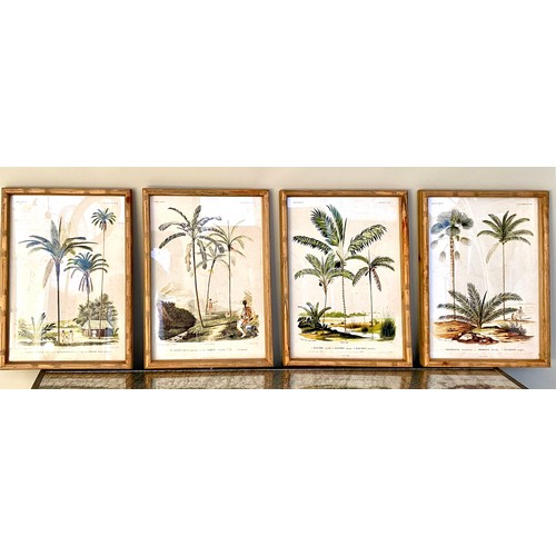 379 - BOTANICAL PRINTS, a set of four, framed, 50cm x 35cm. (4)