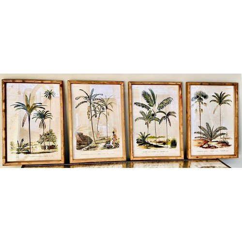 379 - BOTANICAL PRINTS, a set of four, framed, 50cm x 35cm. (4)