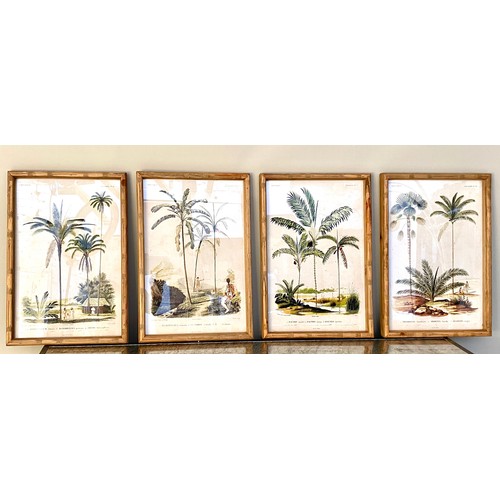 379 - BOTANICAL PRINTS, a set of four, framed, 50cm x 35cm. (4)