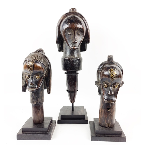 13 - THREE FANG HEADS (Gabon). (3)