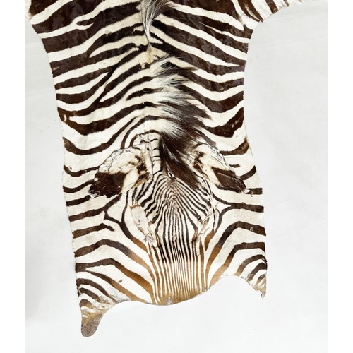 134 - ZEBRA SKIN RUG, early 20th century, 300cm x 160cm.