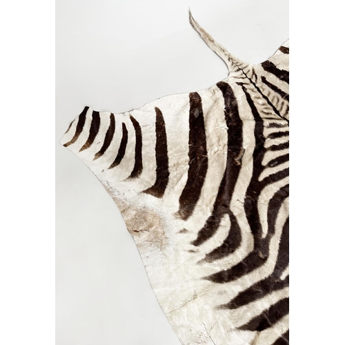 134 - ZEBRA SKIN RUG, early 20th century, 300cm x 160cm.