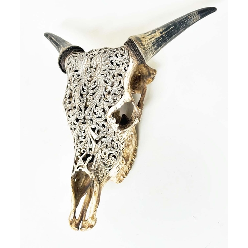 135 - SPANISH BULLS SKULL, with carved and pierced scroll work detail, 46cm W x 49cm H.