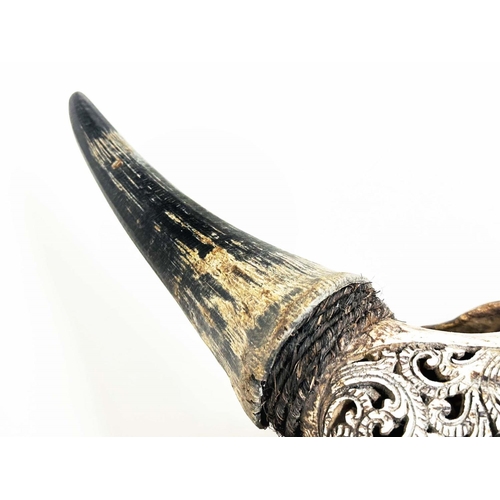 135 - SPANISH BULLS SKULL, with carved and pierced scroll work detail, 46cm W x 49cm H.