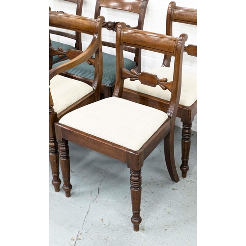 247 - DINING CHAIRS, a set of six George IV mahogany, including two armchairs with taupe drop in seats and... 