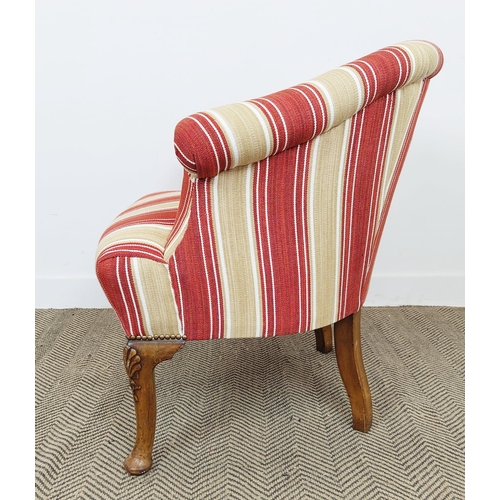 254 - TUB CHAIR, early 20th century walnut in terracotta and cream striped material, 82cm x 75cm W x 72cm ... 