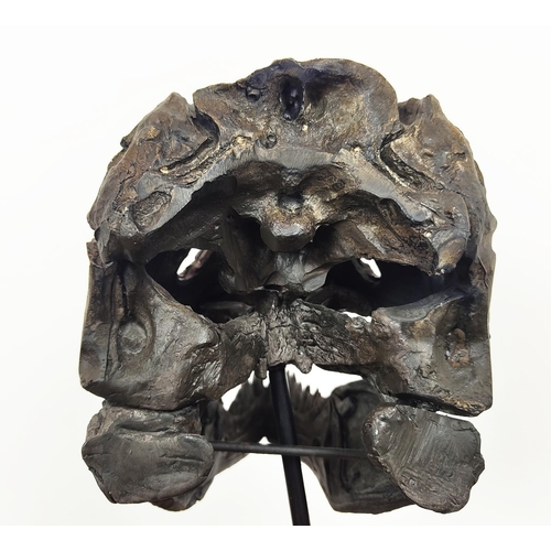 450 - CONTEMPORARY SCHOOL T REX SCULPTURAL HEAD, resin, on a stand, 30cm H x 15cm x 25cm.