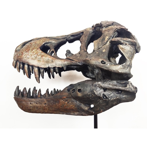 450 - CONTEMPORARY SCHOOL T REX SCULPTURAL HEAD, resin, on a stand, 30cm H x 15cm x 25cm.