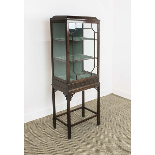 140 - DISPLAY CABINET, labeled Stephen Bindon, Eastbourne, circa 1900, Georgian revival mahogany with glaz... 