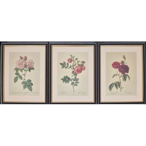 33 - AFTER PIERRE JOSEPH REDOUTE, set of six botanical lithographs, 36cm x 26cm. (6)