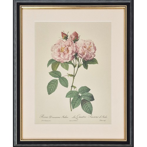 33 - AFTER PIERRE JOSEPH REDOUTE, set of six botanical lithographs, 36cm x 26cm. (6)