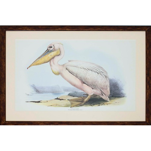 34 - FOUR PRINTS HAND COLOURED LITHOGRAPHS BY EDWARD LEAR. (4)