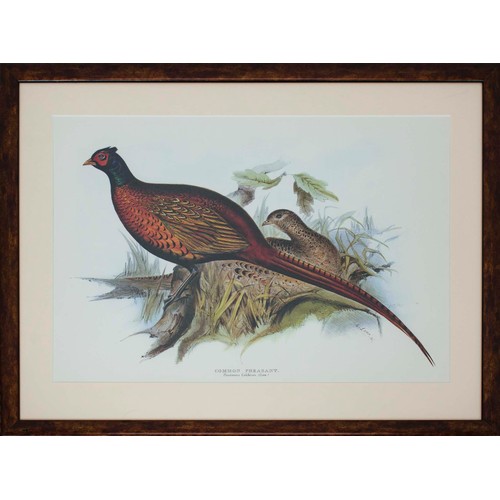 34 - FOUR PRINTS HAND COLOURED LITHOGRAPHS BY EDWARD LEAR. (4)