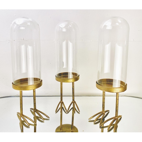 381 - DOMED DISPLAY CASES, a set of three, on gilt metal birds feet stands, 45cm H (3)