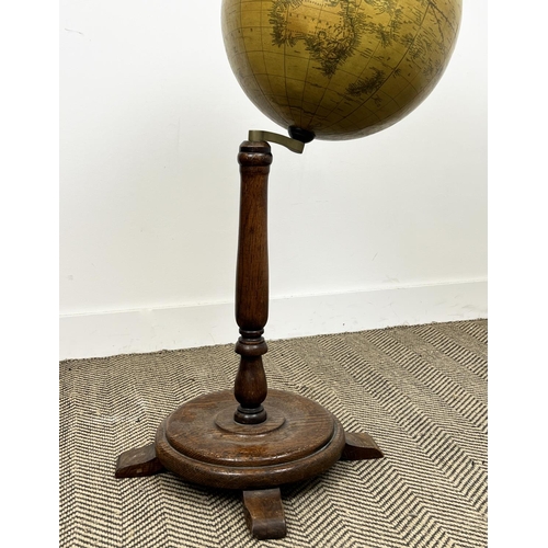 15 - TERRESTRIAL GLOBE, English early 20th century floor standing on oak stand, 105cm H.