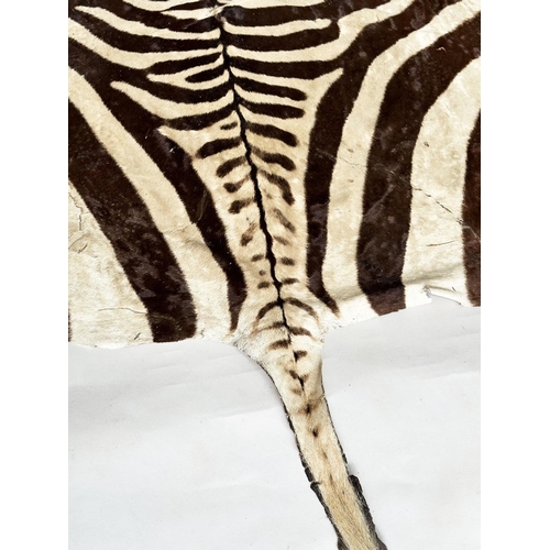 190 - ZEBRA RUG, late 19th century/early 20th century, 290cm x 194cm approx.