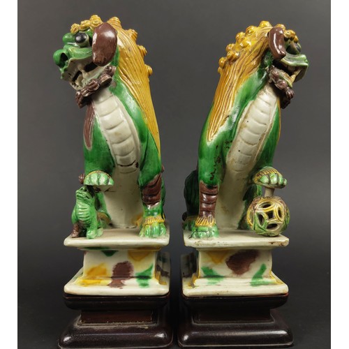 26 - CHINESE SANCAI GLAZED KANGXI BUDDHIST LIONS, a pair, incense holders with loose ears, eyes and ball ... 