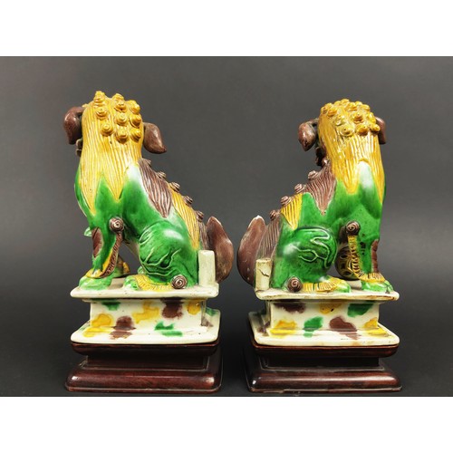 26 - CHINESE SANCAI GLAZED KANGXI BUDDHIST LIONS, a pair, incense holders with loose ears, eyes and ball ... 