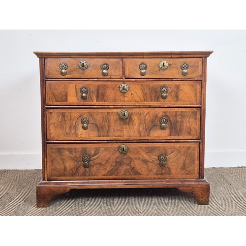 554 - CHEST, Queen Anne walnut, circa 1710, containing five drawers on later bracket feet, 81cm H x 89cm W... 