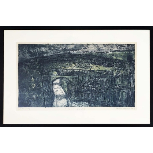 195 - NORMAN ACKROYD RA (British 1938-2024), 'Malignant topography', etching and aquatint, artists proof, ... 