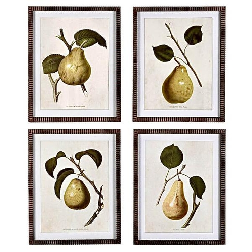 515 - BOTANICAL PRINTS, a set of four depicting pears, framed, 50cm H x 40cm W. (4)