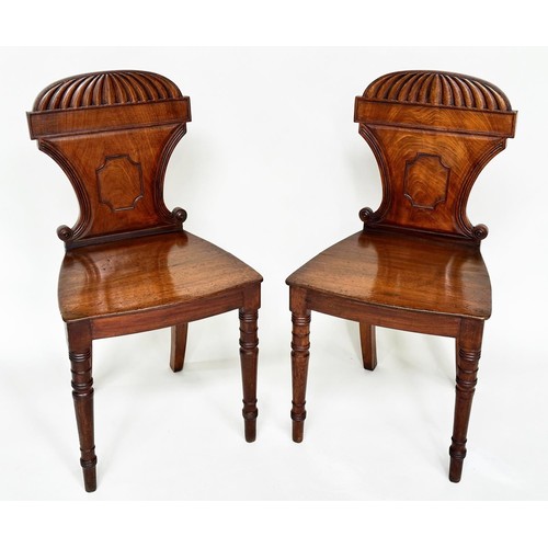 262 - HALL CHAIRS, a pair, Regency mahogany with arched and scrolled backs, panel seats and turned support... 