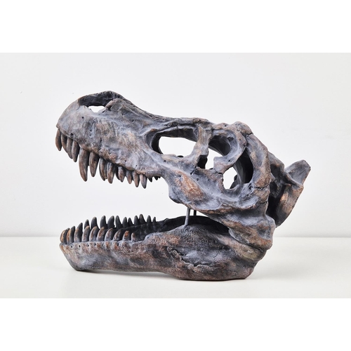 325 - CONTEMPORARY T REX HEAD SCULPTURE, resin, 30cm H x 40cm.