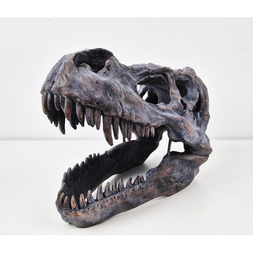 325 - CONTEMPORARY T REX HEAD SCULPTURE, resin, 30cm H x 40cm.