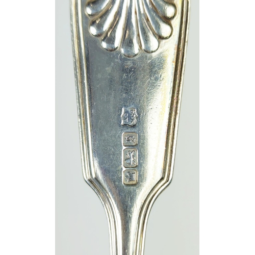 5 - A SET OF TWELVE GEORGE V STERLING SILVER TABLE SPOONS, Sheffield 1910, shell pattern handles, 1047.7... 