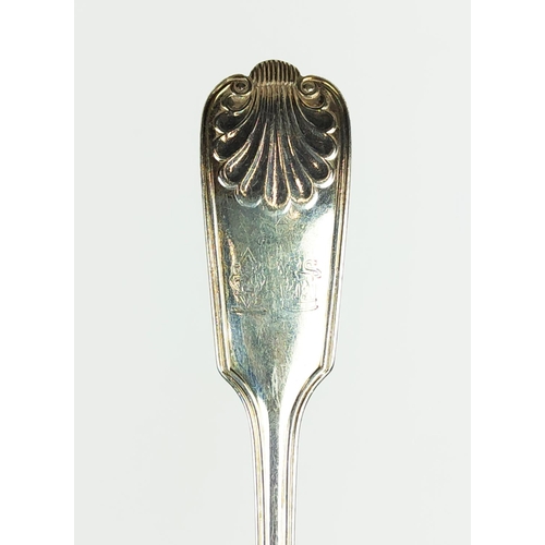 5 - A SET OF TWELVE GEORGE V STERLING SILVER TABLE SPOONS, Sheffield 1910, shell pattern handles, 1047.7... 