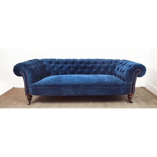 181 - CHESTERFIELD SOFA, Victorian walnut in blue velvet on ceramic castors, 67cm H x 202cm x 85cm.