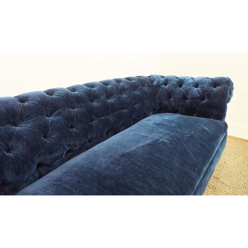 181 - CHESTERFIELD SOFA, Victorian walnut in blue velvet on ceramic castors, 67cm H x 202cm x 85cm.