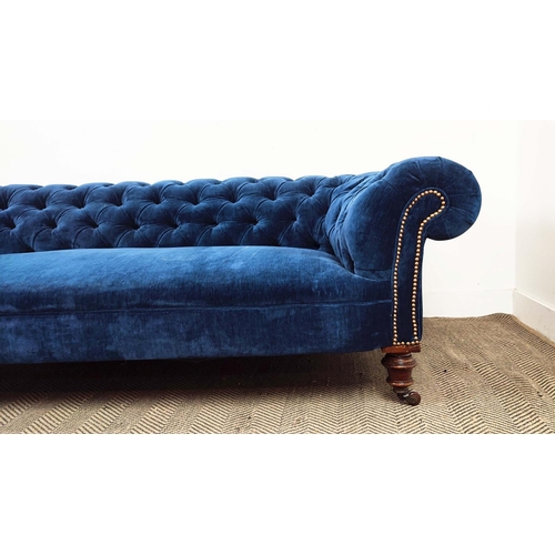 181 - CHESTERFIELD SOFA, Victorian walnut in blue velvet on ceramic castors, 67cm H x 202cm x 85cm.