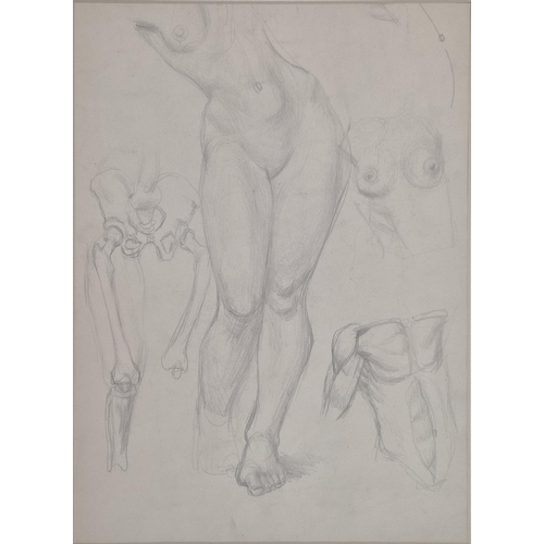 70 - A SET OF THREE PENCIL NUDE STUDIES, each 85cm x 59cm overall. (3)