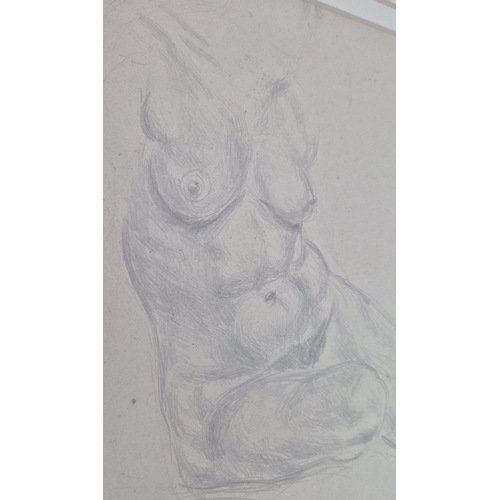 70 - A SET OF THREE PENCIL NUDE STUDIES, each 85cm x 59cm overall. (3)