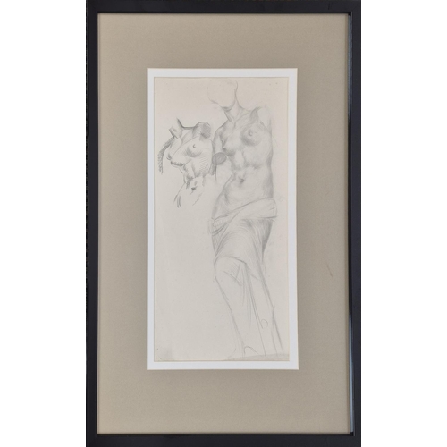 71 - A SET OF THREE PENCIL NUDE STUDIES, largest 85cm x 54cm. (3)