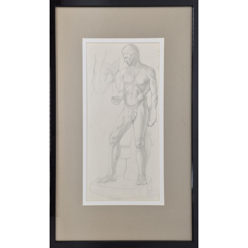 71 - A SET OF THREE PENCIL NUDE STUDIES, largest 85cm x 54cm. (3)