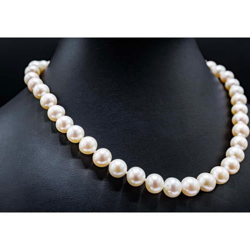 46 - ROUND WHITE CULTURED PEARL-STRUNG NECKLACE, with 9ct yellow gold ball clasp.