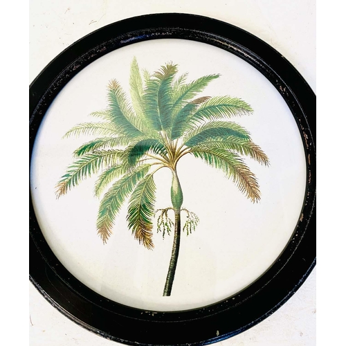 522 - BOTANICAL PRINTS, a set of eight, in black circular frames, 35cm H x 35cm W. (8)